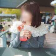 ヒメ日記 2025/11/04 15:30 投稿 ミモザ キャンディ(鹿児島)