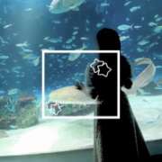 ヒメ日記 2025/11/11 01:55 投稿 ミモザ キャンディ(鹿児島)