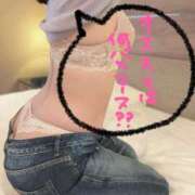 ヒメ日記 2025/11/12 12:10 投稿 ミモザ キャンディ(鹿児島)