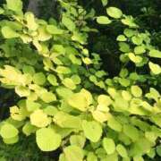 ヒメ日記 2025/04/07 06:03 投稿 いずみ 南国ラブストーリー宮古島