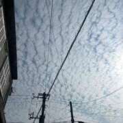 ヒメ日記 2025/04/08 18:33 投稿 いずみ 南国ラブストーリー宮古島