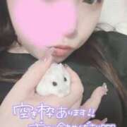 ヒメ日記 2025/08/07 21:52 投稿 みゆう 豊満奉仕倶楽部