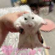 ヒメ日記 2026/02/02 10:39 投稿 みゆう 豊満奉仕倶楽部