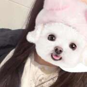 ヒメ日記 2025/04/02 09:24 投稿 めぐ ピーチハニー