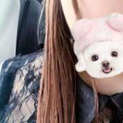 ヒメ日記 2025/04/05 18:04 投稿 めぐ ピーチハニー