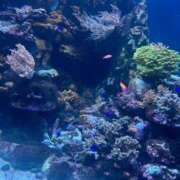 ヒメ日記 2025/04/02 12:43 投稿 さやか 素人系イメージSOAP彼女感大宮館