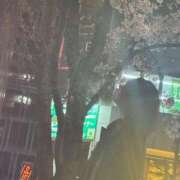 ヒメ日記 2026/03/30 23:46 投稿 さやか 素人系イメージSOAP彼女感大宮館