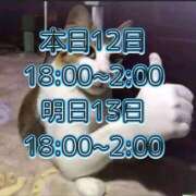 ケニーオメコ 急遽(｀･ω･´)ゞ 電マナイザー イラマチオン