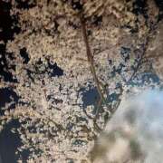 ヒメ日記 2026/04/03 16:32 投稿 るい ビデオdeはんど 町田校