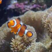 ヒメ日記 2025/12/04 19:46 投稿 ゆいか 久留米デリヘルセンター