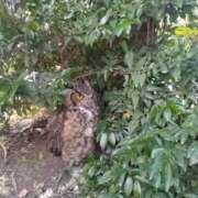 ヒメ日記 2025/12/07 16:36 投稿 ゆいか 久留米デリヘルセンター