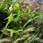 ヒメ日記 2025/08/09 20:27 投稿 ののか 那須塩原人妻花壇