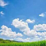 ヒメ日記 2025/08/12 07:06 投稿 ののか 那須塩原人妻花壇