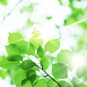 ヒメ日記 2025/08/21 09:57 投稿 ののか 那須塩原人妻花壇