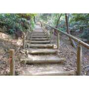 ののか おはよ🍀.* 那須塩原人妻花壇