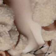 ヒメ日記 2025/05/31 21:03 投稿 春日みく ウルトラホワイト