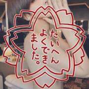 ヒメ日記 2025/07/29 18:27 投稿 寿きづなエクセレント -NEO-皇帝別館（中央街）