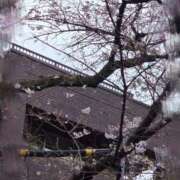 ヒメ日記 2026/04/01 13:12 投稿 そら Salon du M-えっちなお姉さんのM性感デリバリー-五反田店