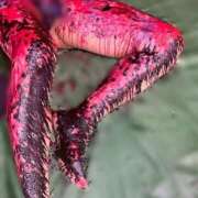 そら しっとり Salon du M-えっちなお姉さんのM性感デリバリー-五反田店