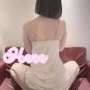 ヒメ日記 2025/12/20 21:08 投稿 はな Salon du M-えっちなお姉さんのM性感デリバリー-五反田店