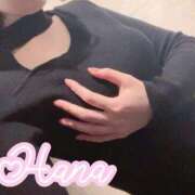 はな 🥀2月最後の痴女活 Salon du M-えっちなお姉さんのM性感デリバリー-五反田店