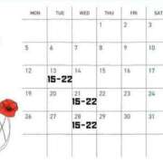 ヒメ日記 2025/05/07 14:15 投稿 佐々木えな 池袋パラダイス