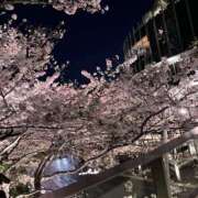 ヒメ日記 2026/03/01 15:13 投稿 しずく 池袋S級素人派遣型東京美少女物語