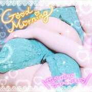 ヒメ日記 2025/04/28 14:06 投稿 ひなた 宮城大崎古川ちゃんこ