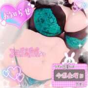 ヒメ日記 2025/07/23 20:28 投稿 ひなた 宮城大崎古川ちゃんこ