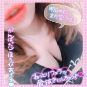 ヒメ日記 2025/07/24 23:48 投稿 ひなた 宮城大崎古川ちゃんこ