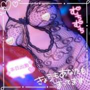 ヒメ日記 2025/08/02 14:58 投稿 ひなた 宮城大崎古川ちゃんこ