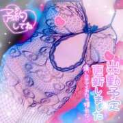 ヒメ日記 2025/08/22 19:28 投稿 ひなた 宮城大崎古川ちゃんこ