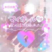 ヒメ日記 2025/08/30 12:58 投稿 ひなた 宮城大崎古川ちゃんこ