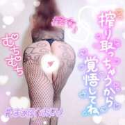 ヒメ日記 2025/10/29 17:18 投稿 ひなた 宮城大崎古川ちゃんこ