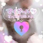 ヒメ日記 2025/10/29 21:58 投稿 ひなた 宮城大崎古川ちゃんこ