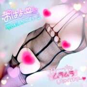 ヒメ日記 2025/10/31 12:58 投稿 ひなた 宮城大崎古川ちゃんこ