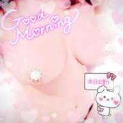 ヒメ日記 2025/11/29 12:28 投稿 ひなた 宮城大崎古川ちゃんこ