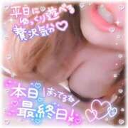 ひなた ＊最終日！＊ 宮城大崎古川ちゃんこ