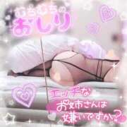 ひなた ＊最後の枠のみ！＊ 宮城大崎古川ちゃんこ