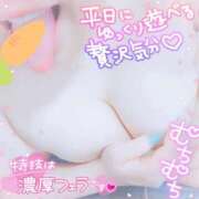 ヒメ日記 2026/04/28 15:08 投稿 ひなた 宮城大崎古川ちゃんこ