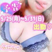 ヒメ日記 2026/05/19 15:48 投稿 ひなた 宮城大崎古川ちゃんこ
