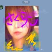 ヒメ日記 2025/03/29 04:38 投稿 さくらこ 人妻美人館