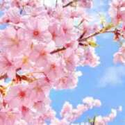 ヒメ日記 2025/04/12 19:57 投稿 さくらこ 人妻美人館