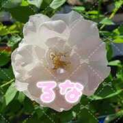 ヒメ日記 2025/04/27 19:15 投稿 るな ぷるるんマダム 難波店