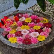 ヒメ日記 2025/06/17 17:52 投稿 るな ぷるるんマダム 難波店