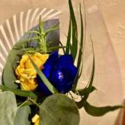 ヒメ日記 2026/02/08 23:00 投稿 るな ぷるるんマダム 難波店