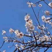 ヒメ日記 2026/03/06 06:00 投稿 るな ぷるるんマダム 難波店