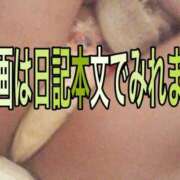 ヒメ日記 2025/12/15 20:02 投稿 みさき つまみぐいイケちゃいますよ！