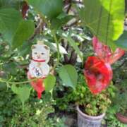 ヒメ日記 2025/06/09 12:20 投稿 りぼん 池袋マリン別館