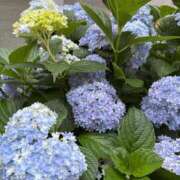 ヒメ日記 2025/06/13 10:50 投稿 りぼん 池袋マリン別館